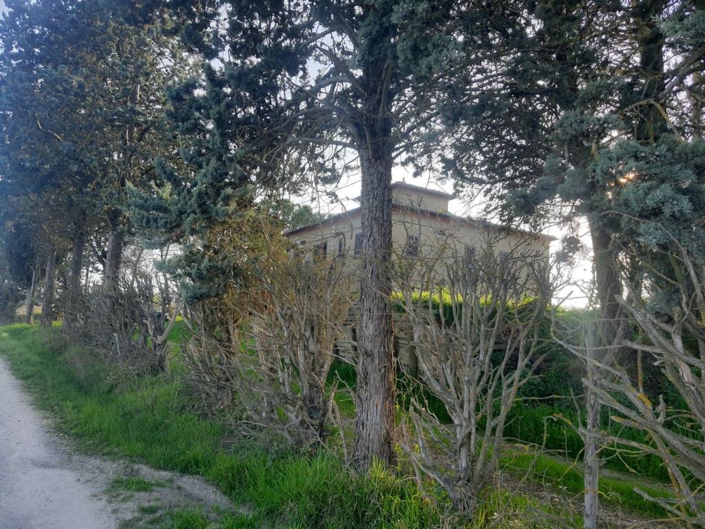 Rustico / casale a Marciano della chiana - Foto 4