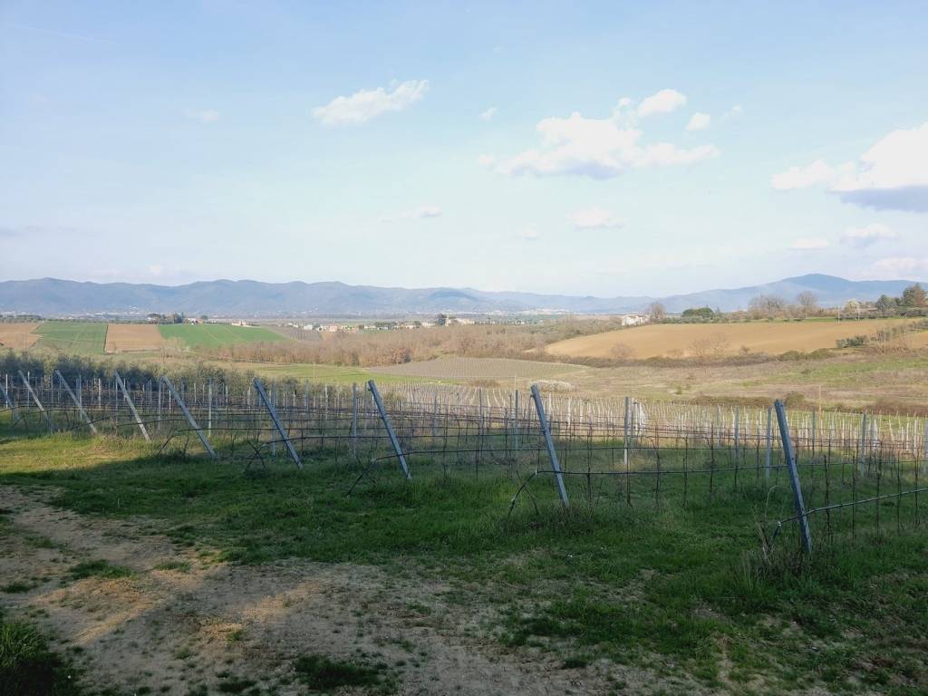 Rustico / casale a Marciano della chiana - Foto 5