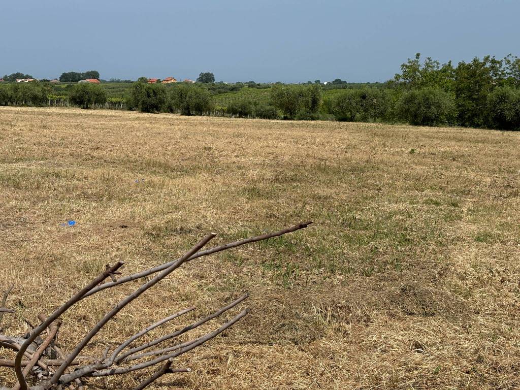 Terreno a Canosa sannita - Foto 3