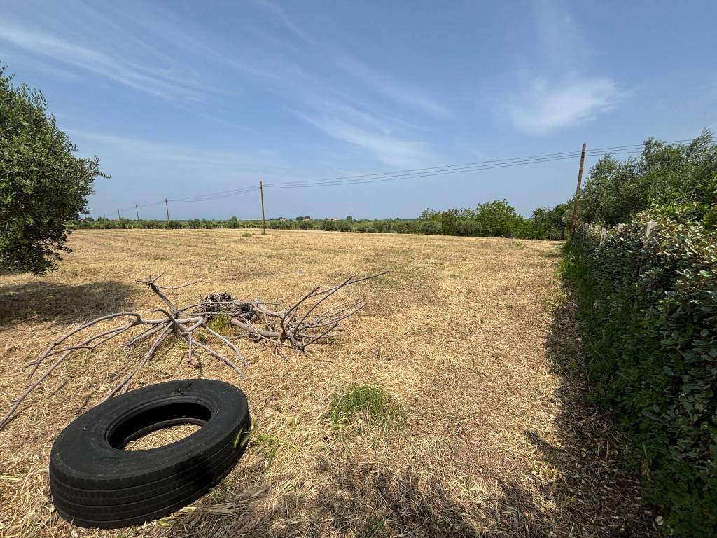 Terreno a Canosa sannita - Foto 4