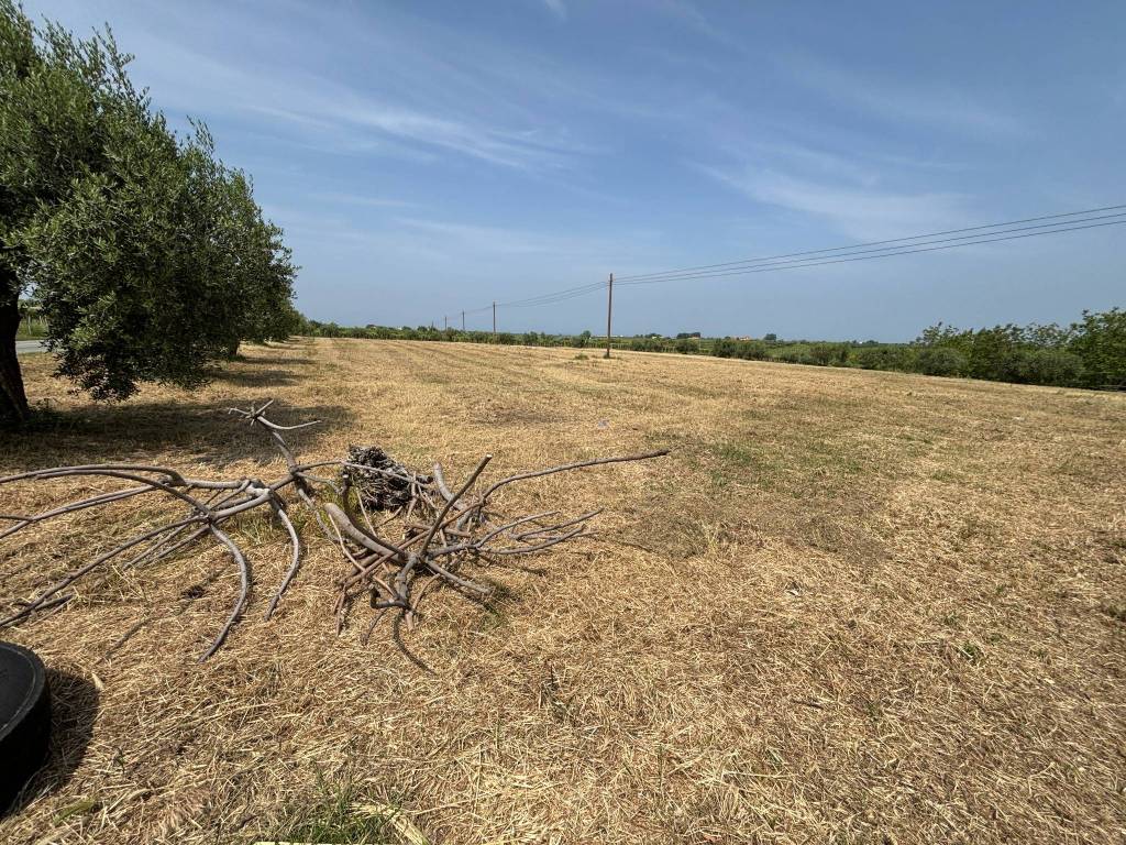 Terreno a Canosa sannita - Foto 5