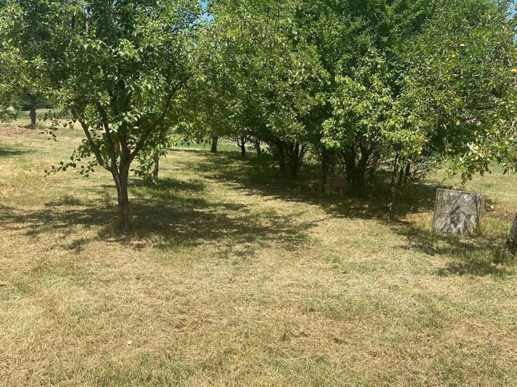 Villa a Zavattarello in Frazione Moline, 59 - Foto 3