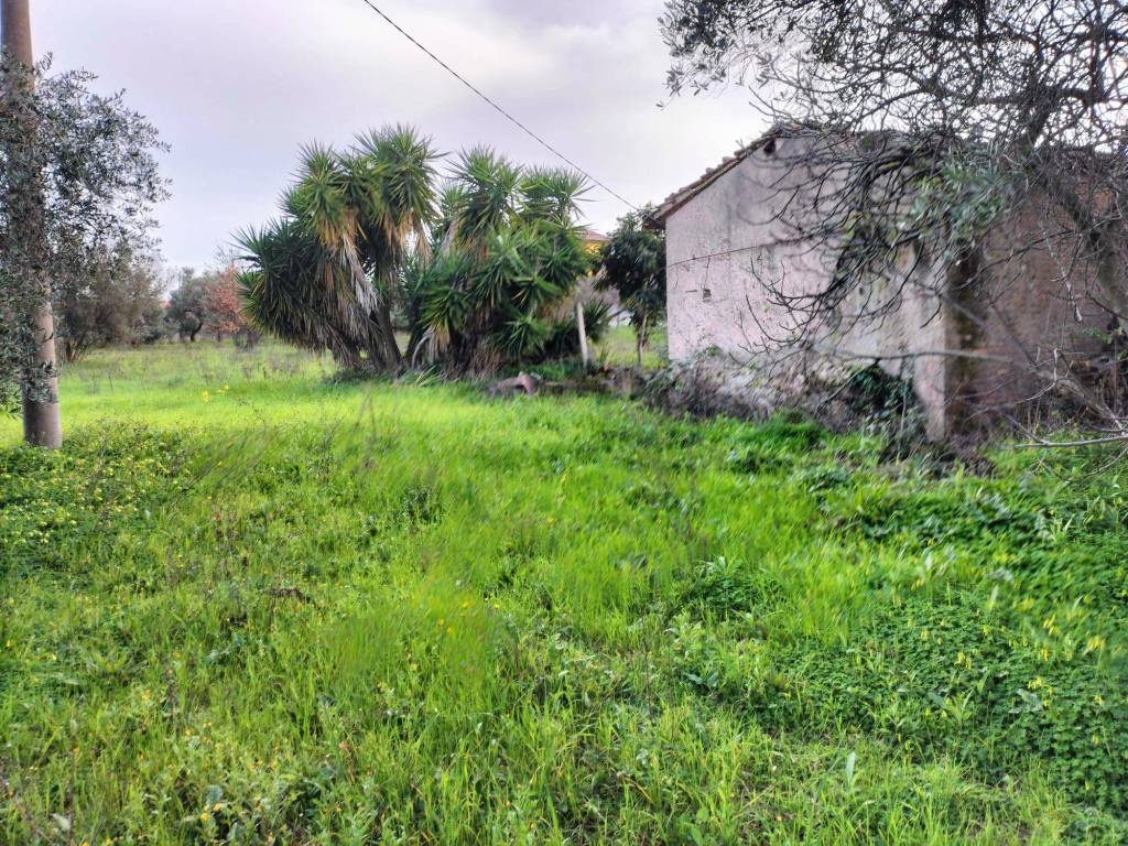Terreno a Ortona in Contrada Santa Liberata - Foto 2