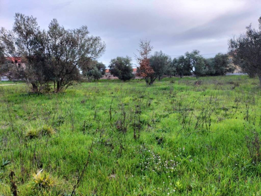 Terreno a Ortona in Contrada Santa Liberata - Foto 3