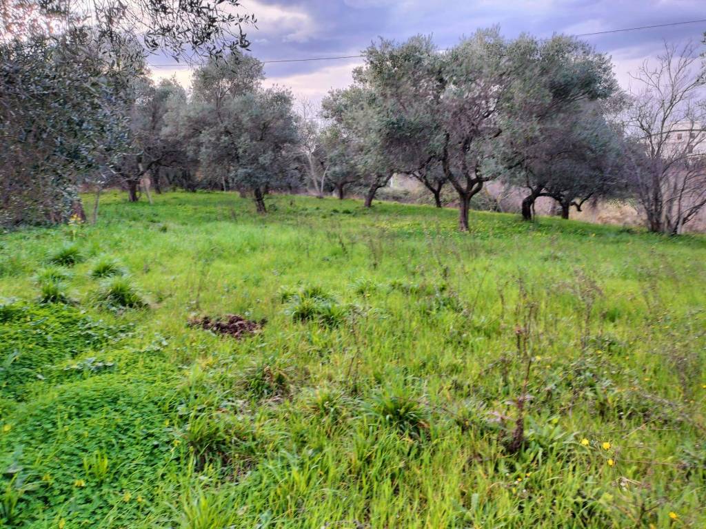 Terreno a Ortona in Contrada Santa Liberata - Foto 4