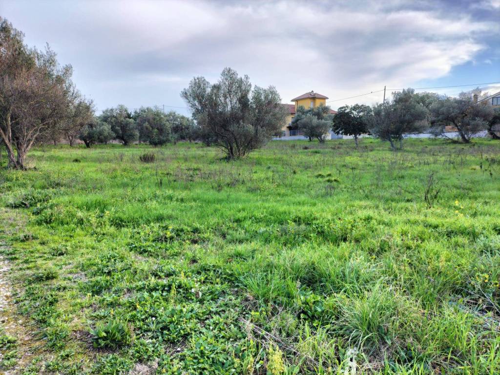 Terreno a Ortona in Contrada Santa Liberata - Foto 5
