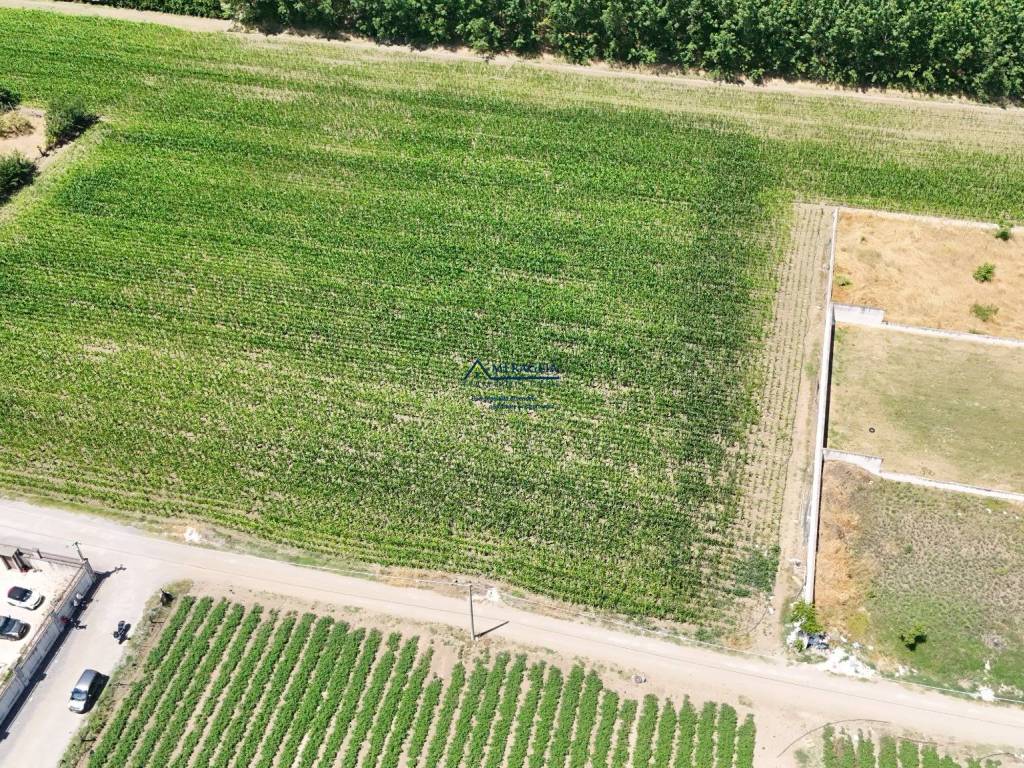 Terreno a San marcellino in Via Altamura - Foto 5