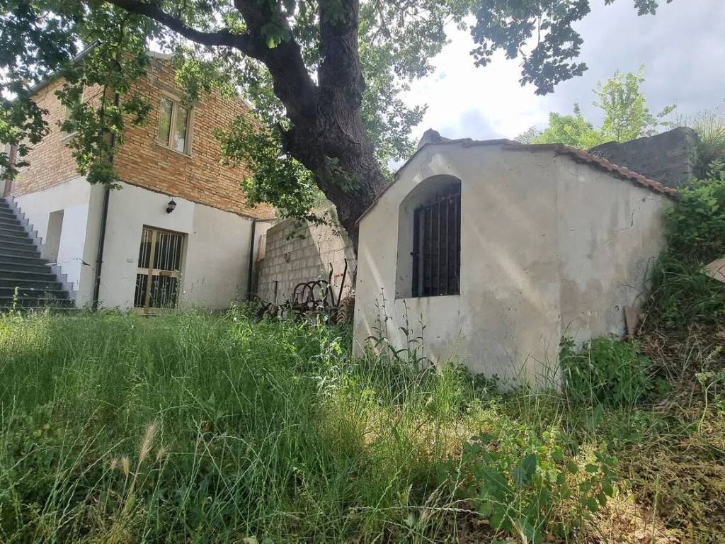 Rustico / casale a Montefino in Contrada Muraglie S.N.C. - Foto 3