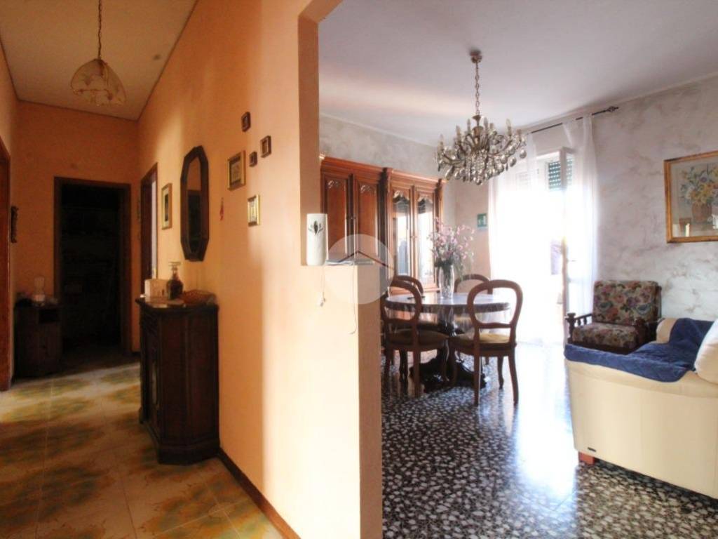 Appartamento a Campobasso in Via Michele Pietravalle, 19 - Foto 5