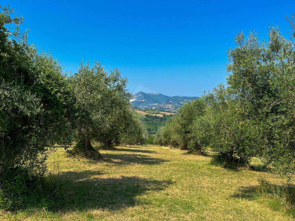 Rustico / casale a Maiolati spontini - Foto 2
