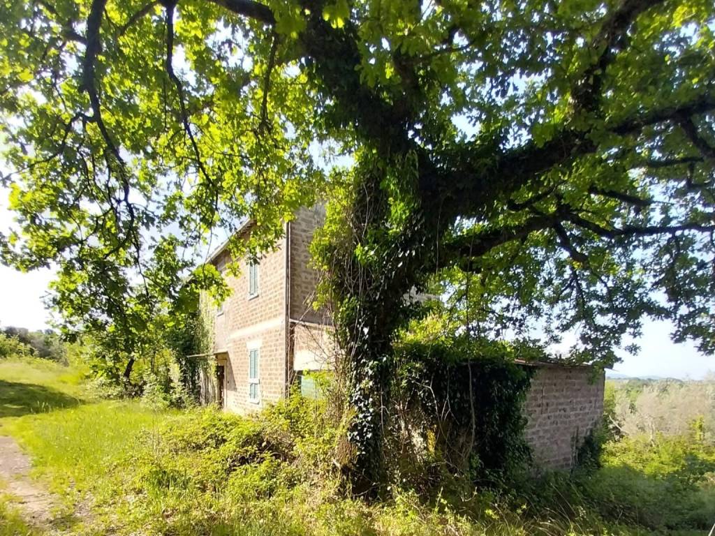 Rustico / casale a Montefranco in Strada delle Colline - Foto 3