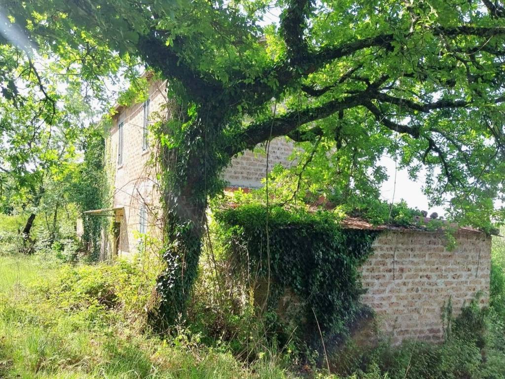Rustico / casale a Montefranco in Strada delle Colline - Foto 4
