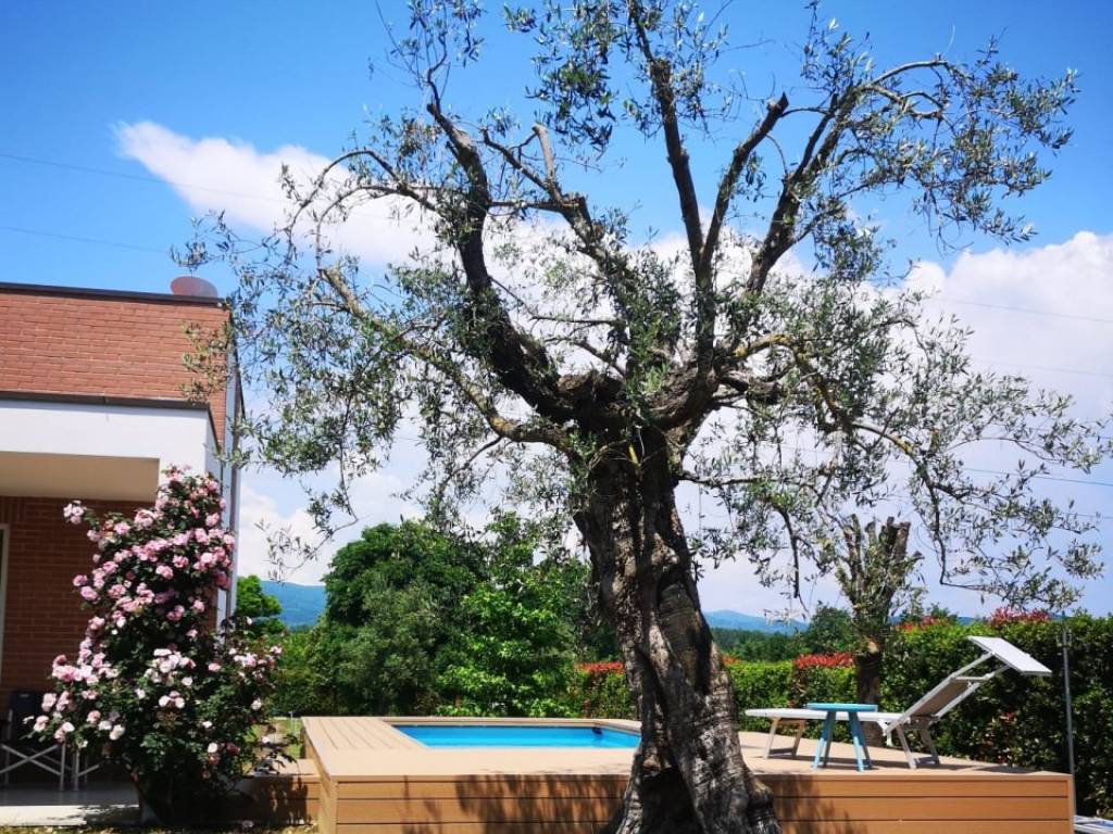 Villa a Arezzo - Foto 4
