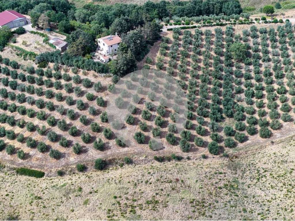 Rustico / casale a Campagnatico - Foto 2
