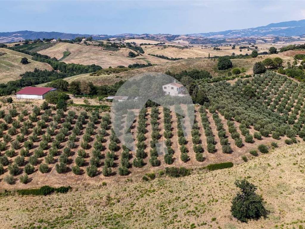 Rustico / casale a Campagnatico - Foto 4