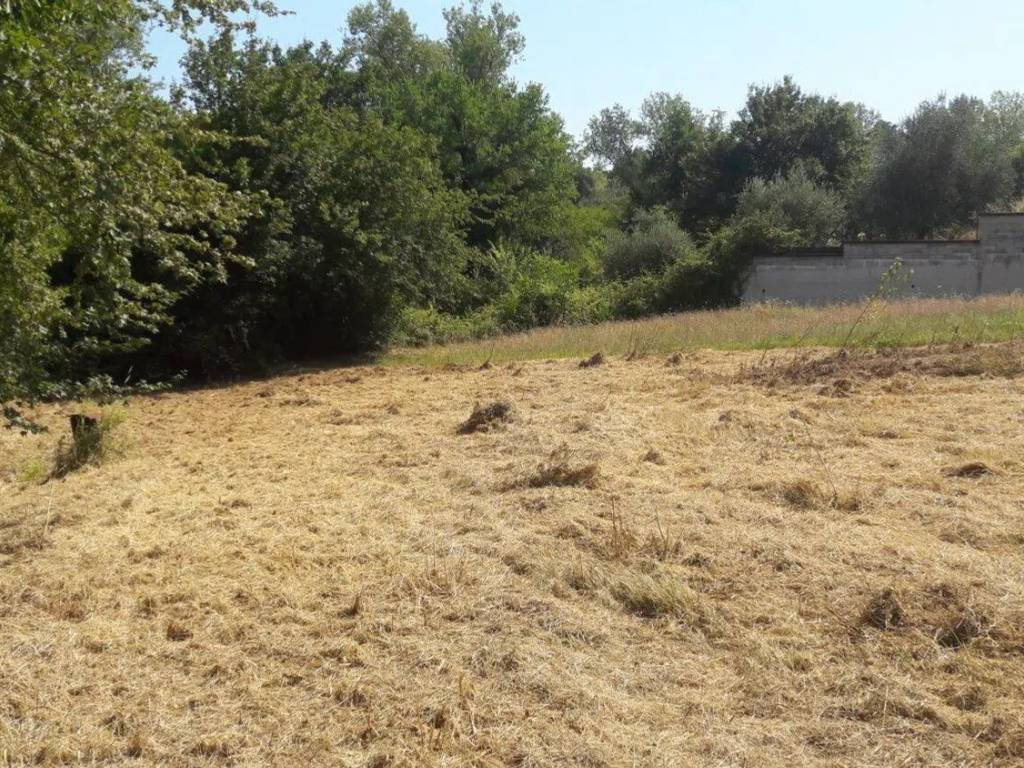 Terreno a Roccamontepiano in Via D'Arcangelo, 13, 13 - Foto 4