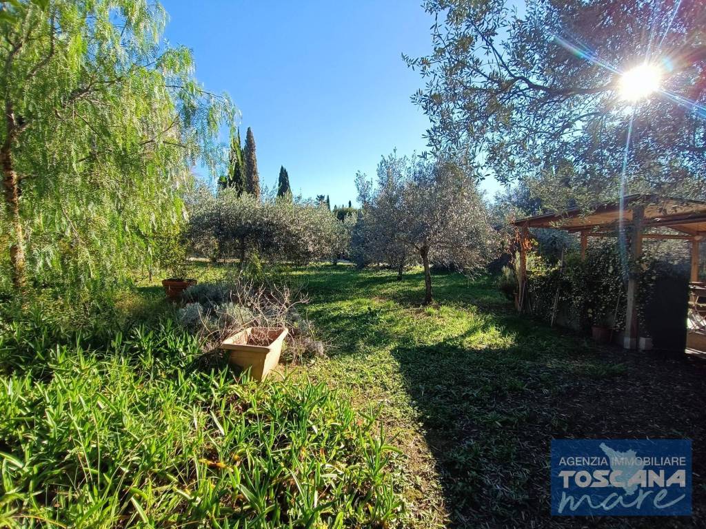 Appartamento a Castagneto carducci - Foto 3