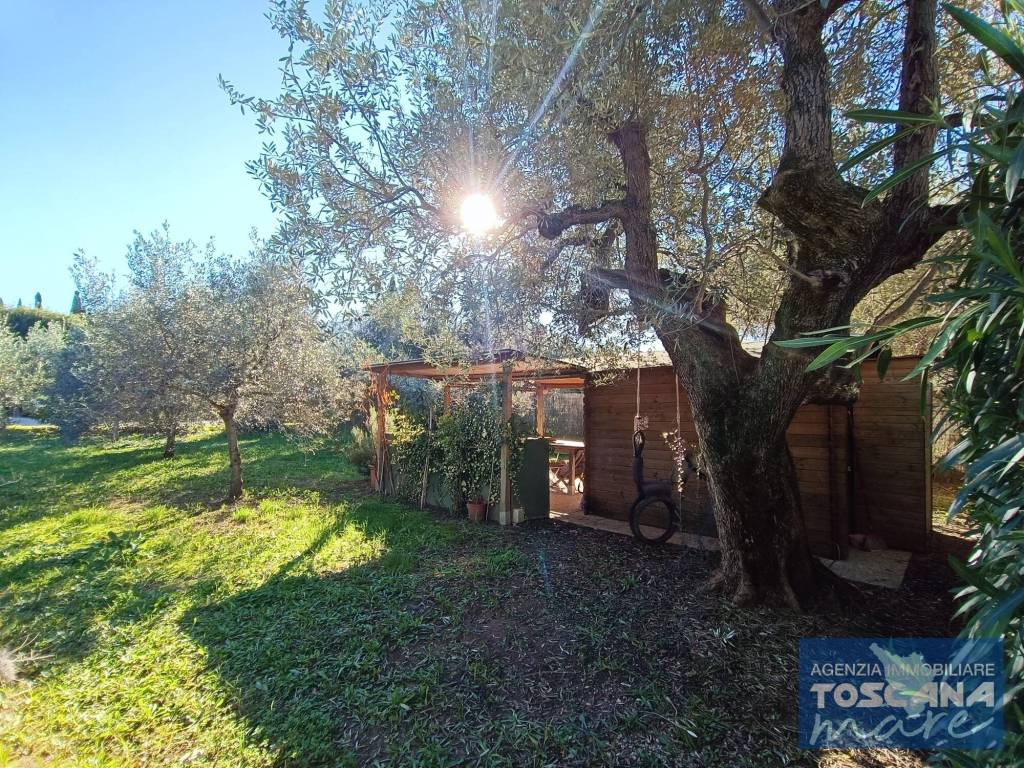 Appartamento a Castagneto carducci - Foto 4