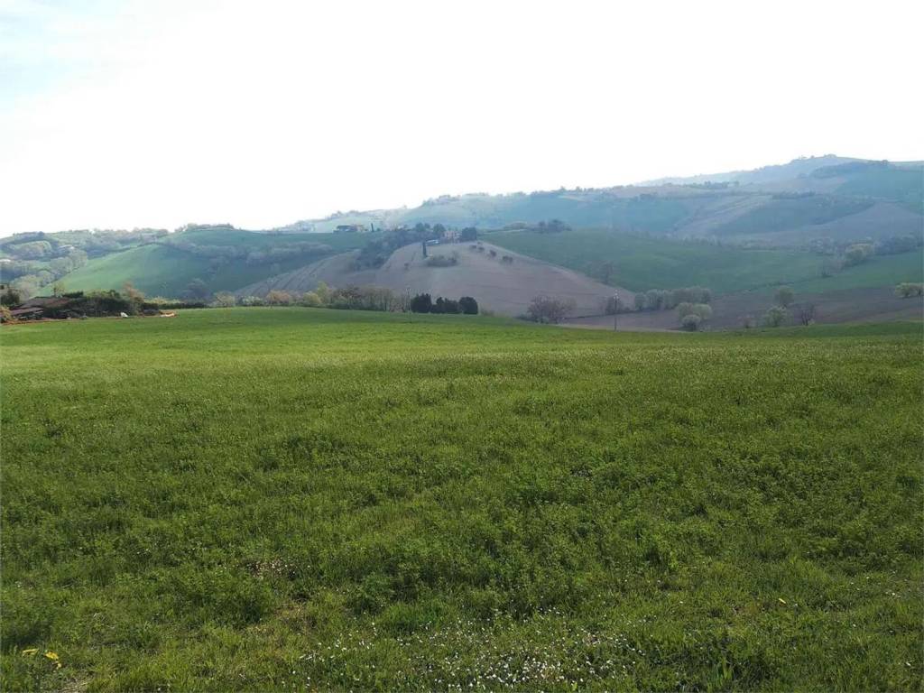 Terreno a Polverigi in Via Rustico S.N.C. - Foto 2
