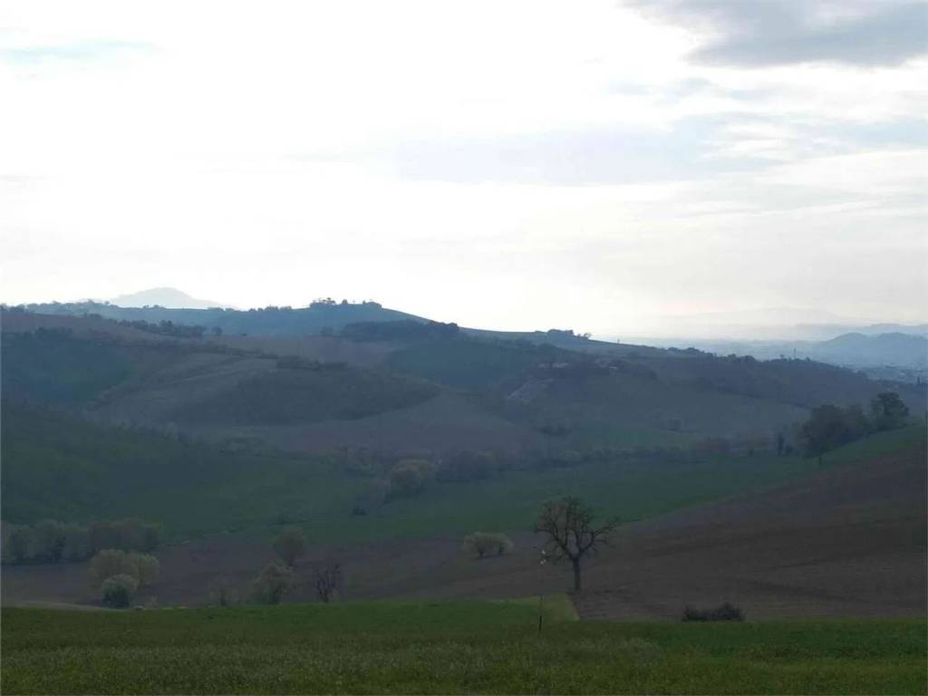 Terreno a Polverigi in Via Rustico S.N.C. - Foto 3