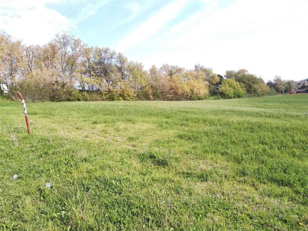 Terreno a Polverigi in Via Rustico S.N.C. - Foto 4
