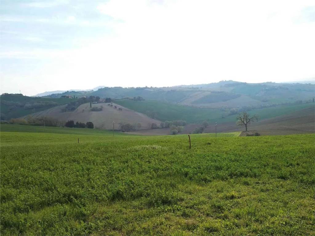 Terreno a Polverigi in Via Rustico S.N.C. - Foto 5