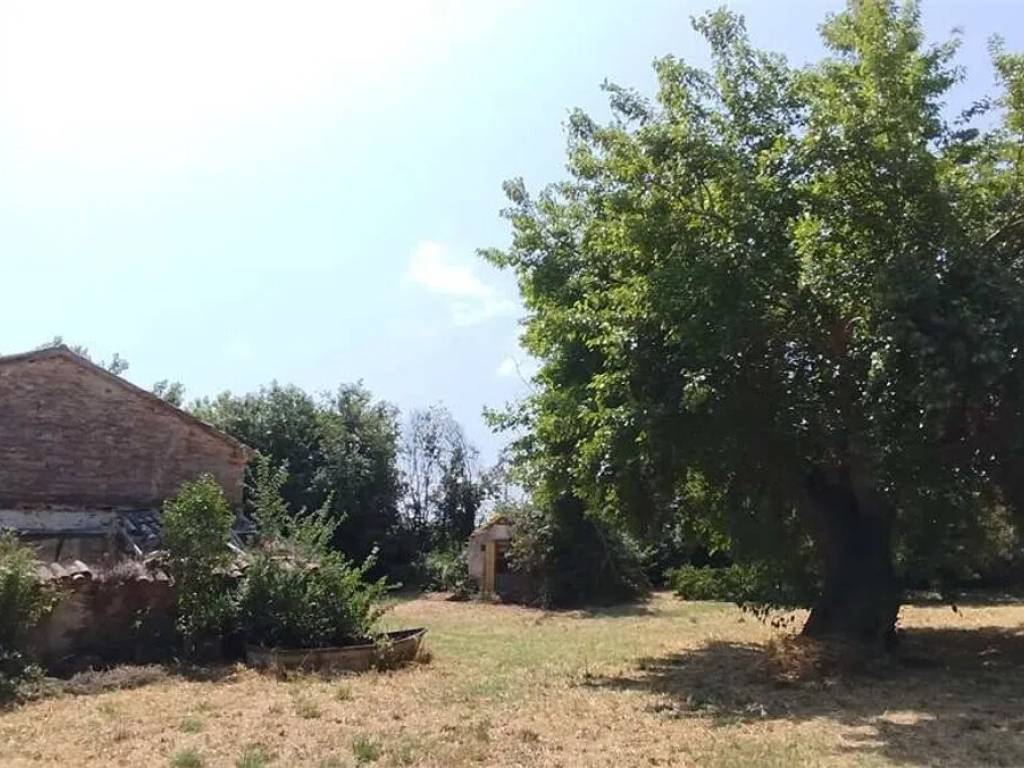 Rustico / casale a Monte san vito - Foto 5