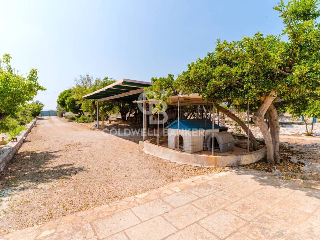Villa a Salve in Contrada Profichi - Foto 3