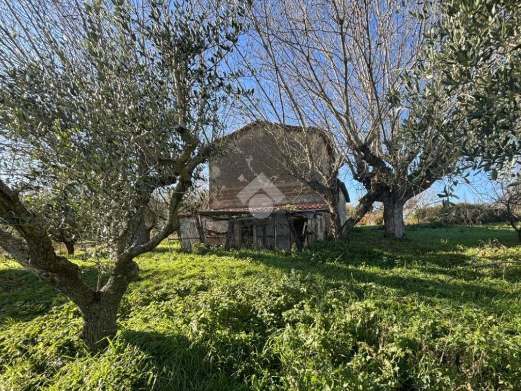Rustico / casale a Acquasparta in Vico Delle Fornaci - Foto 4