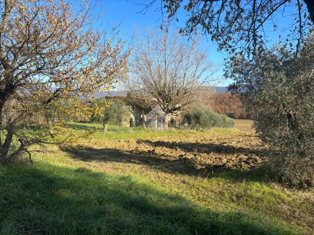 Rustico / casale a Acquasparta in Vico Delle Fornaci - Foto 5