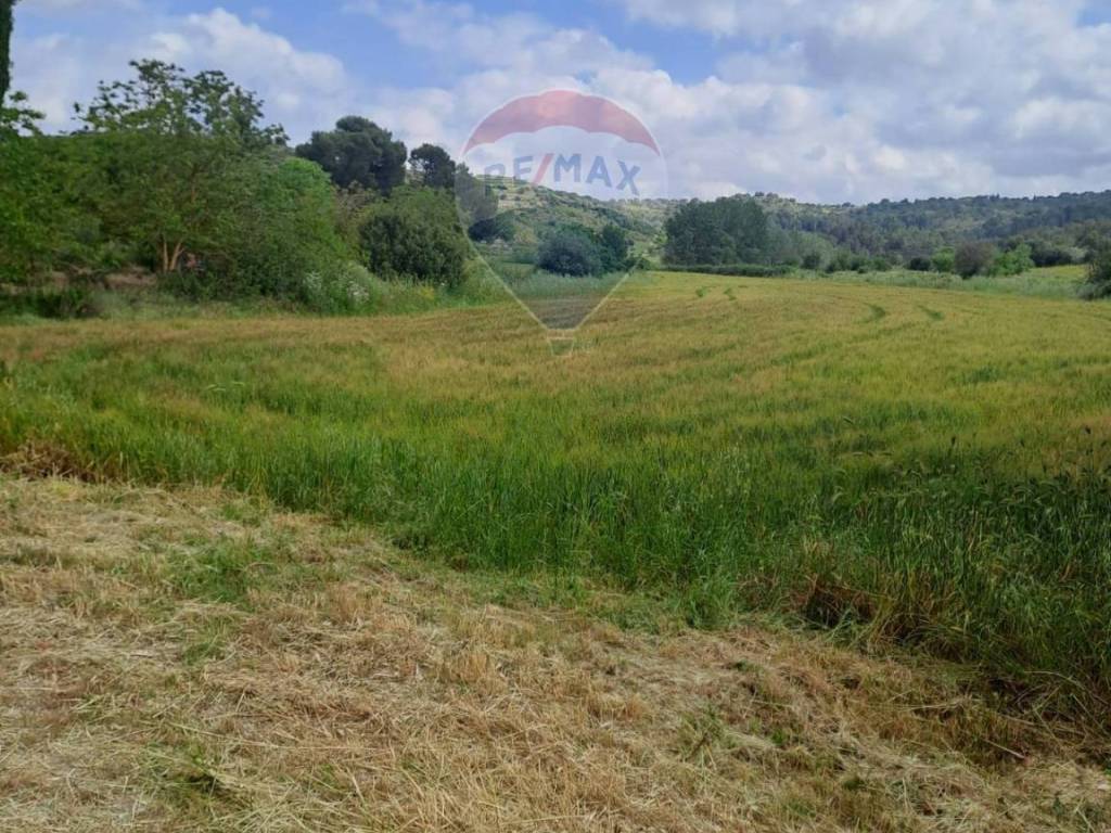 Terreno a Ragusa in C.da Interdulla - Foto 2