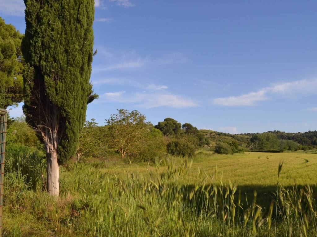 Terreno a Ragusa in C.da Interdulla - Foto 3