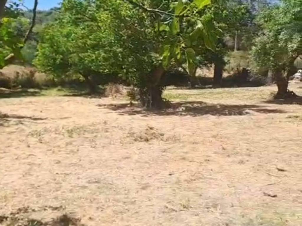 Terreno a Ragusa in C.da Interdulla - Foto 4