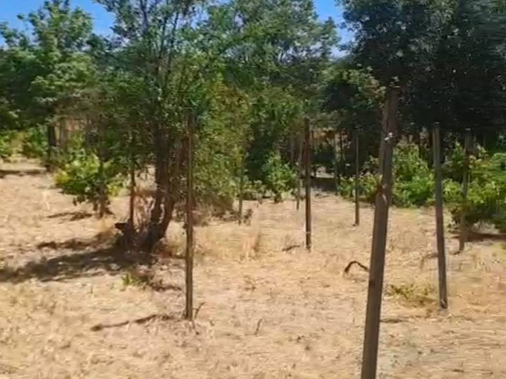 Terreno a Ragusa in C.da Interdulla - Foto 5