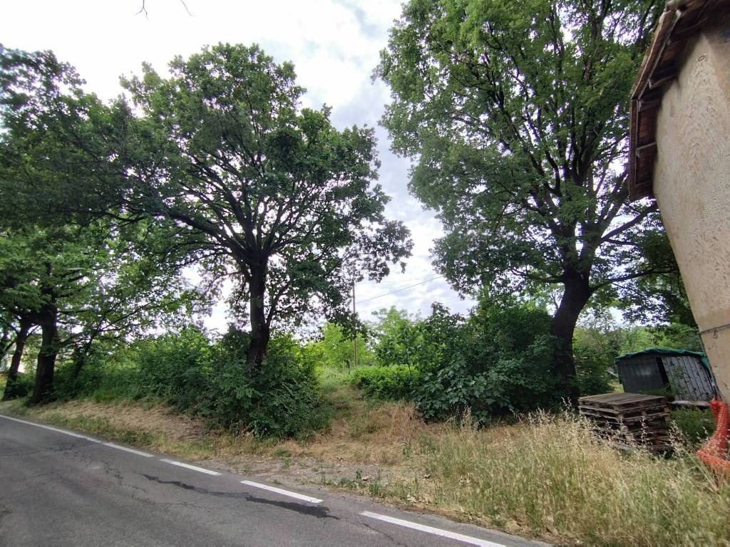 Rustico / casale a Castelvetro di modena in Via Sinistra Guerro, 49 - Foto 5