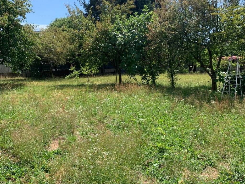 Terreno a Gorla maggiore in Via Roma, 11 - Foto 2