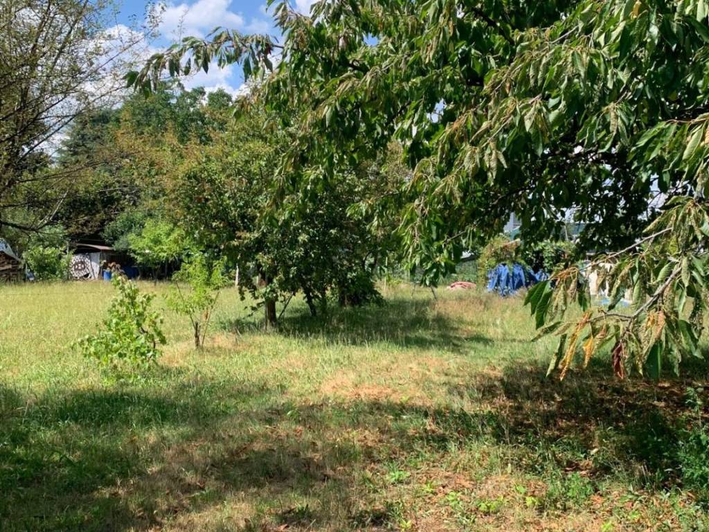 Terreno a Gorla maggiore in Via Roma, 11 - Foto 3