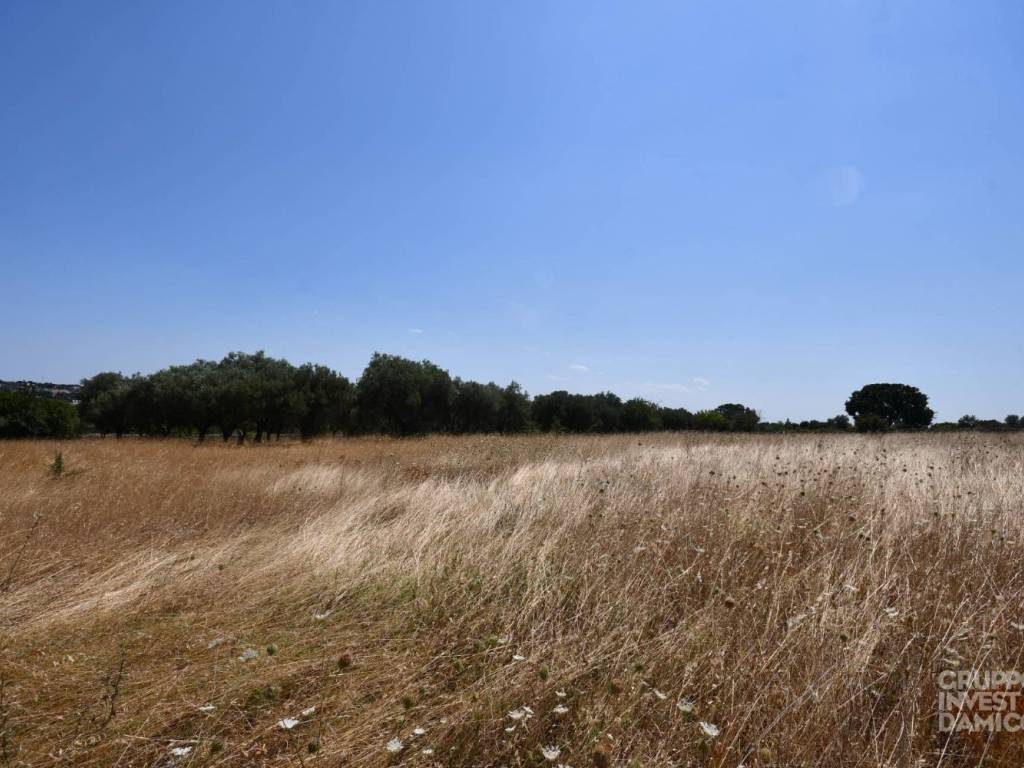 Terreno a Ostuni in Contrada Fantese, Ostuni - Foto 2