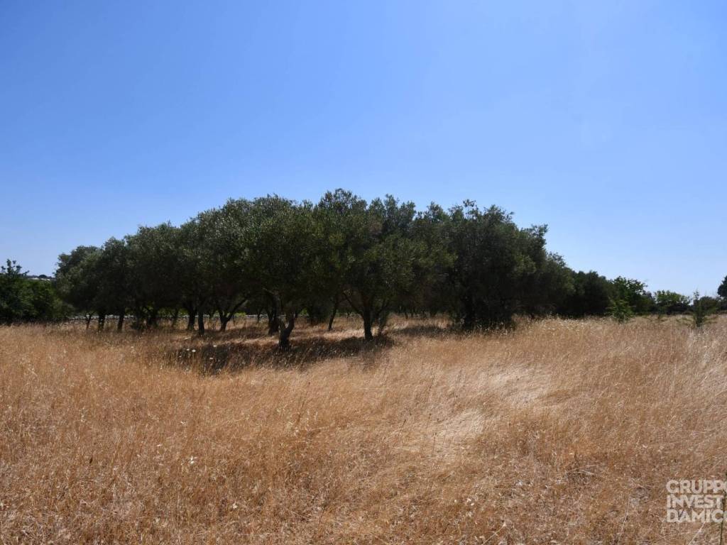 Terreno a Ostuni in Contrada Fantese, Ostuni - Foto 4
