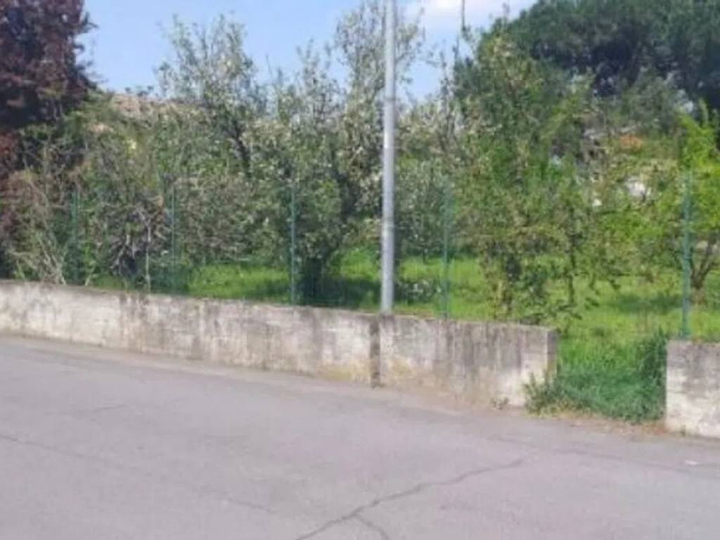 Terreno a Ceranova in Chiesa - Foto 5