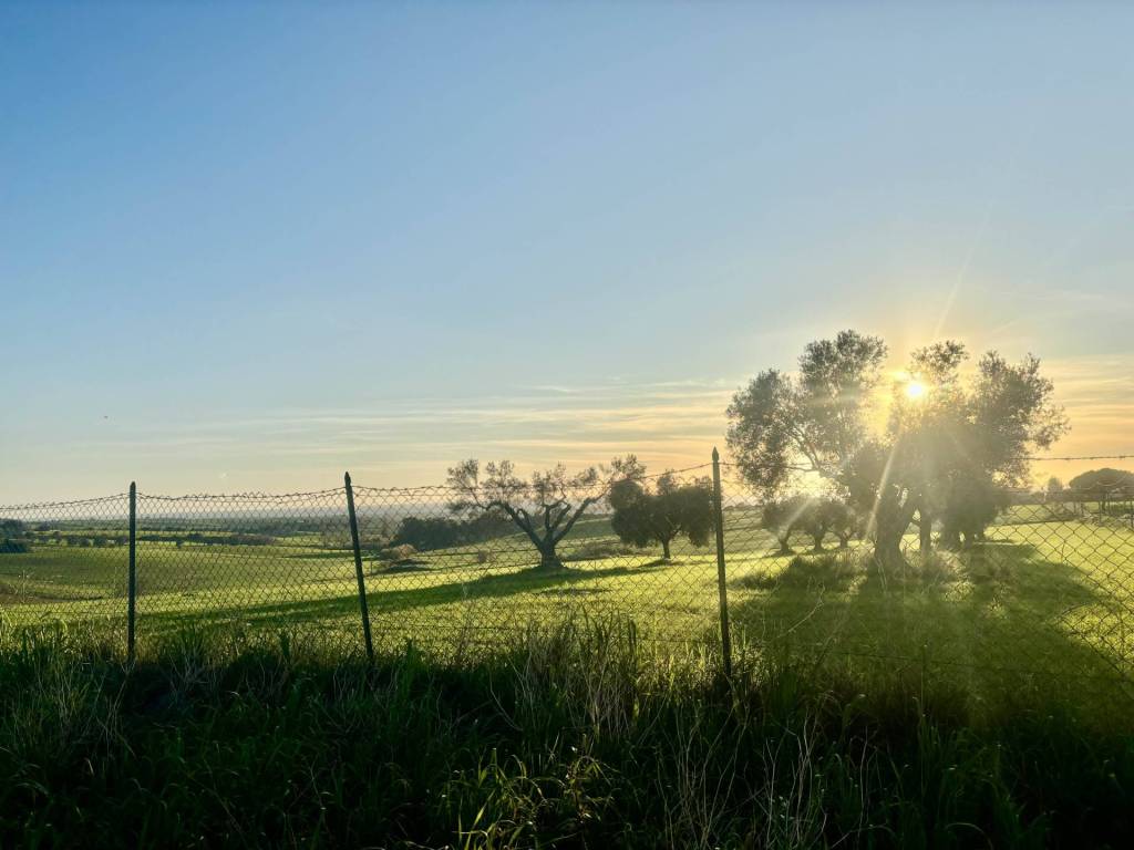 Rustico / casale a Tarquinia - Foto 3