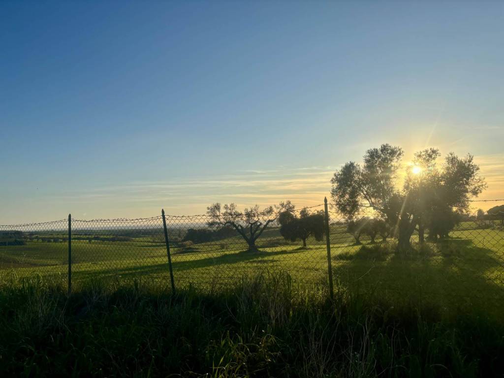 Rustico / casale a Tarquinia - Foto 4