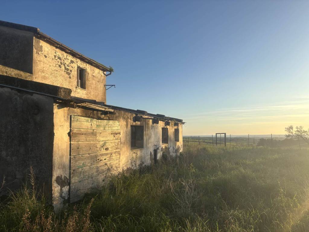 Rustico / casale a Tarquinia - Foto 5