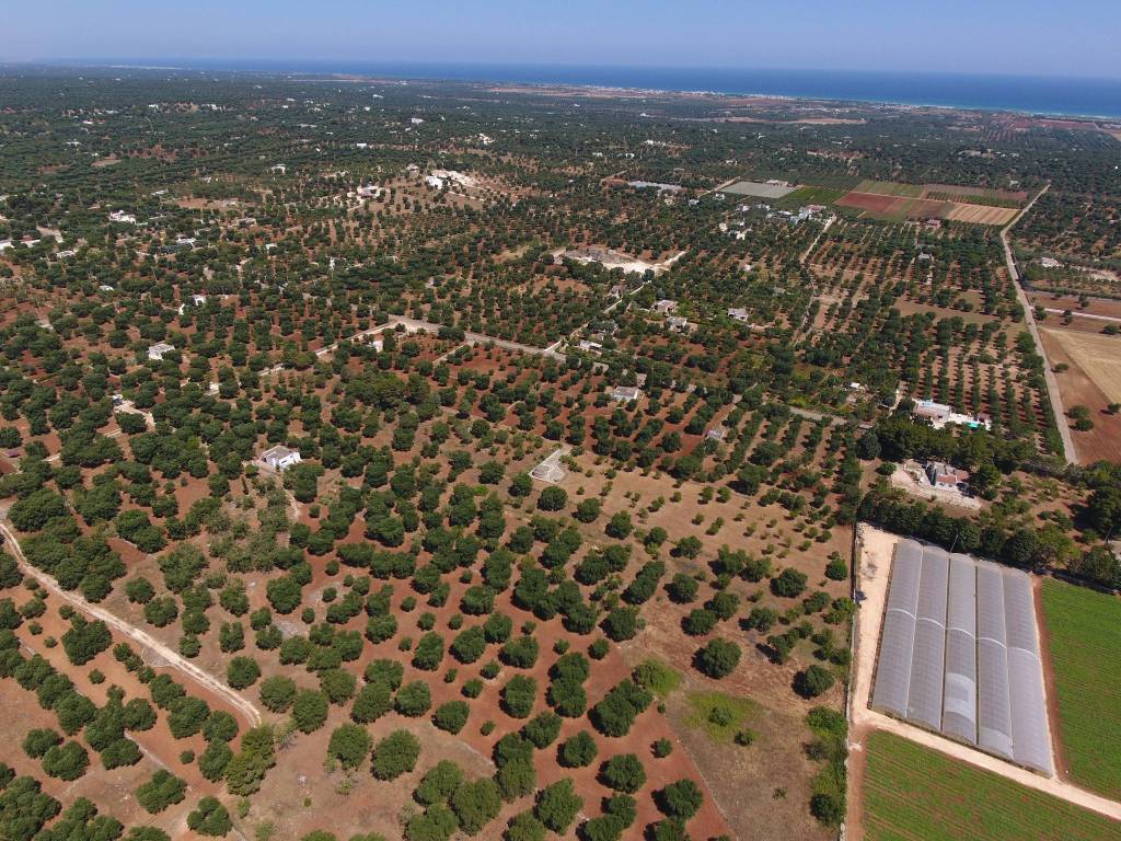 Terreno a Carovigno - Foto 2