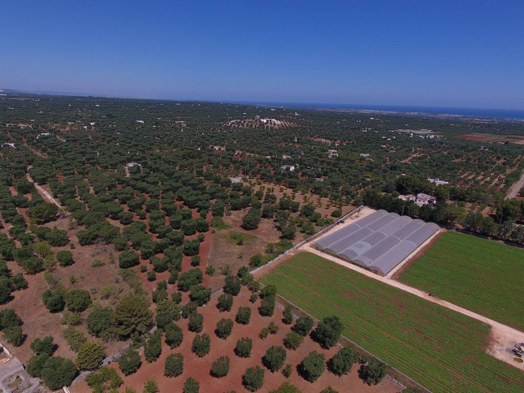 Terreno a Carovigno - Foto 3