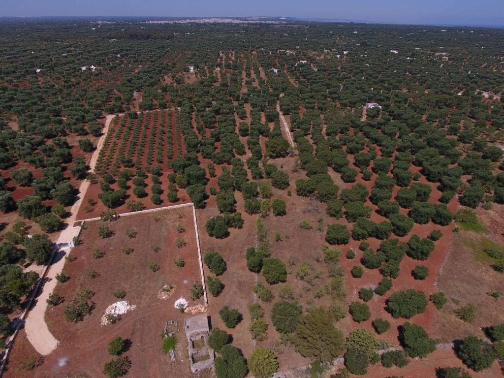 Terreno a Carovigno - Foto 4