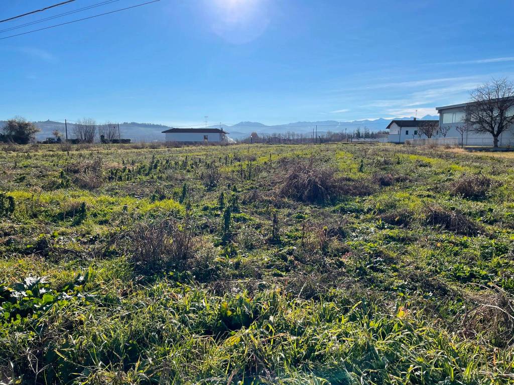 Terreno a Carrù - Foto 3