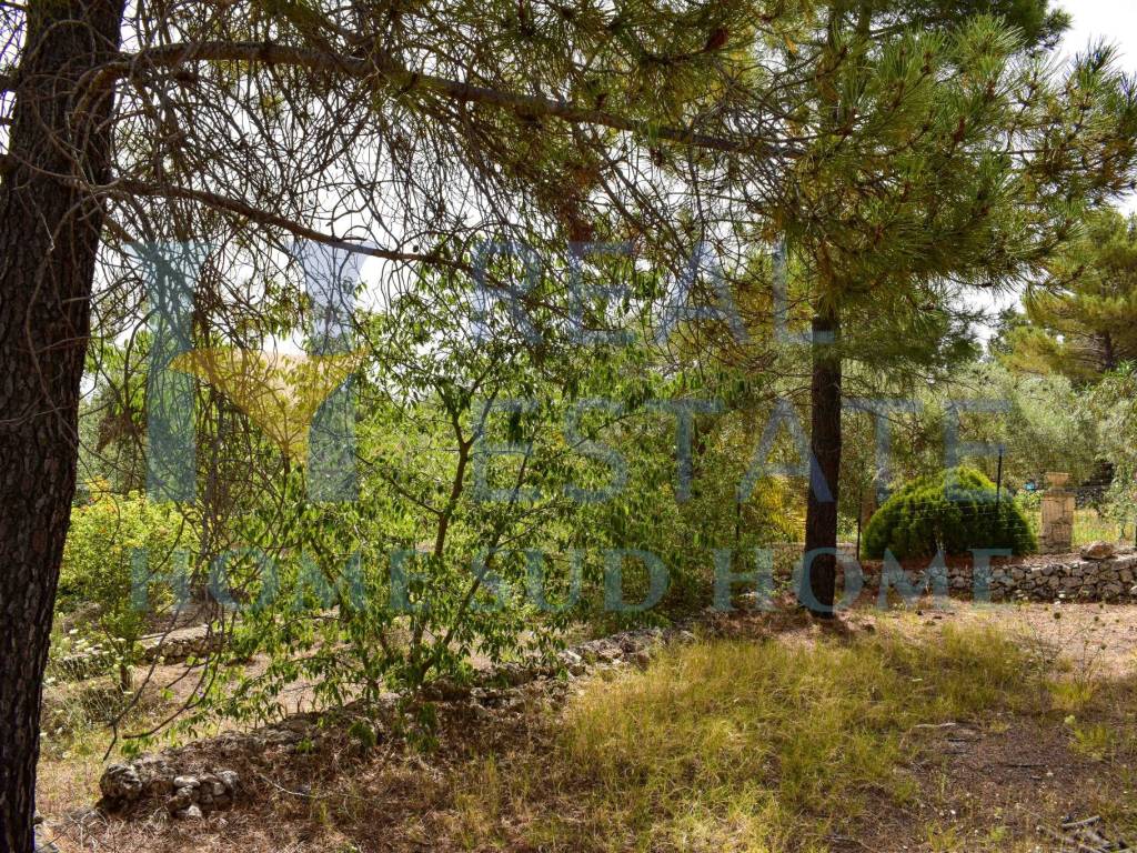 Rustico / casale a Noto in Via Tommaso Fazello, 228 - Foto 3