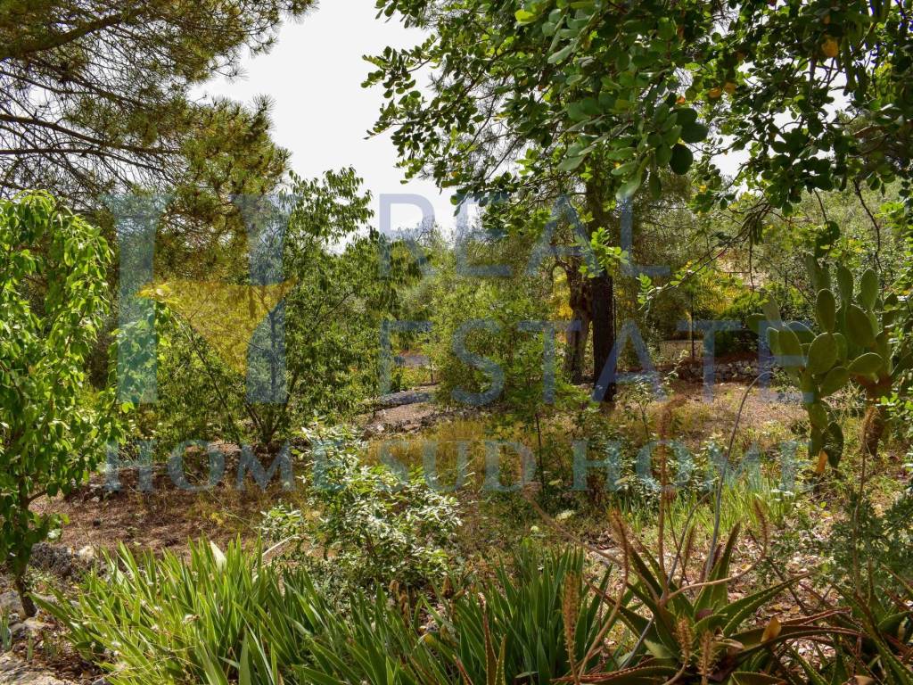 Rustico / casale a Noto in Via Tommaso Fazello, 228 - Foto 4