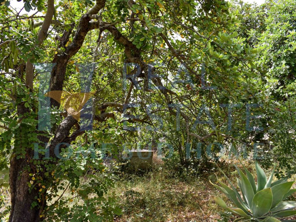 Rustico / casale a Noto in Via Tommaso Fazello, 228 - Foto 5